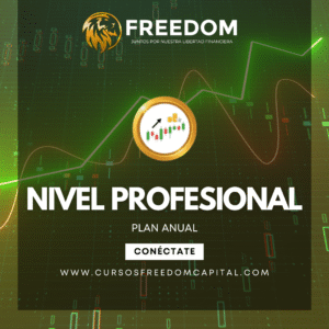 Curso Profesional